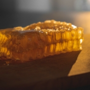 A piece of honeycomb with a low sunset in the background shining through the golden wax.
