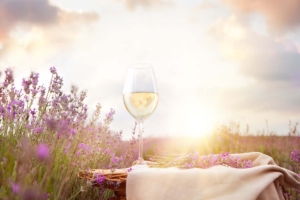 Sunshine, glass of Sky River Mead and Lavender