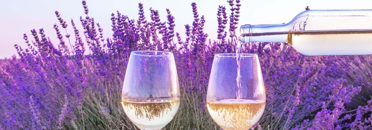 lavender field and 2 glasses of sky river lavender mead