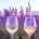 lavender field and 2 glasses of sky river lavender mead