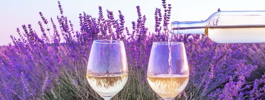 lavender field and 2 glasses of sky river lavender mead